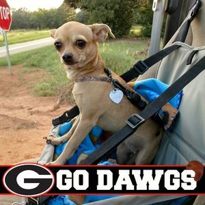 Meet your Posher, Jack